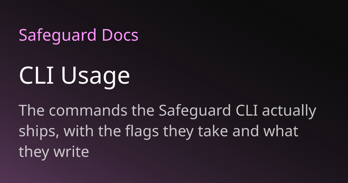 CLI Usage | Safeguard Docs